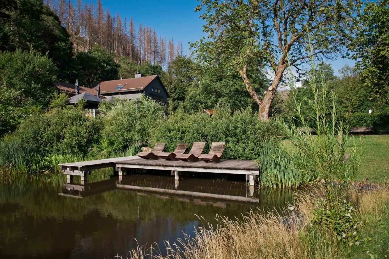 Tiny House Nature 12 - Green Tiny Village Harz Osterode am Harz ภายนอก รูปภาพ