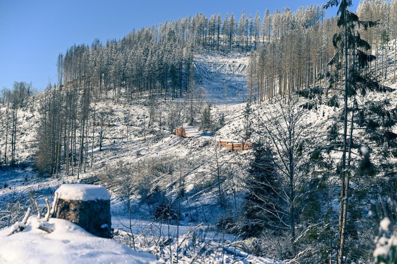 Tiny House Nature 12 - Green Tiny Village Harz Osterode am Harz ภายนอก รูปภาพ
