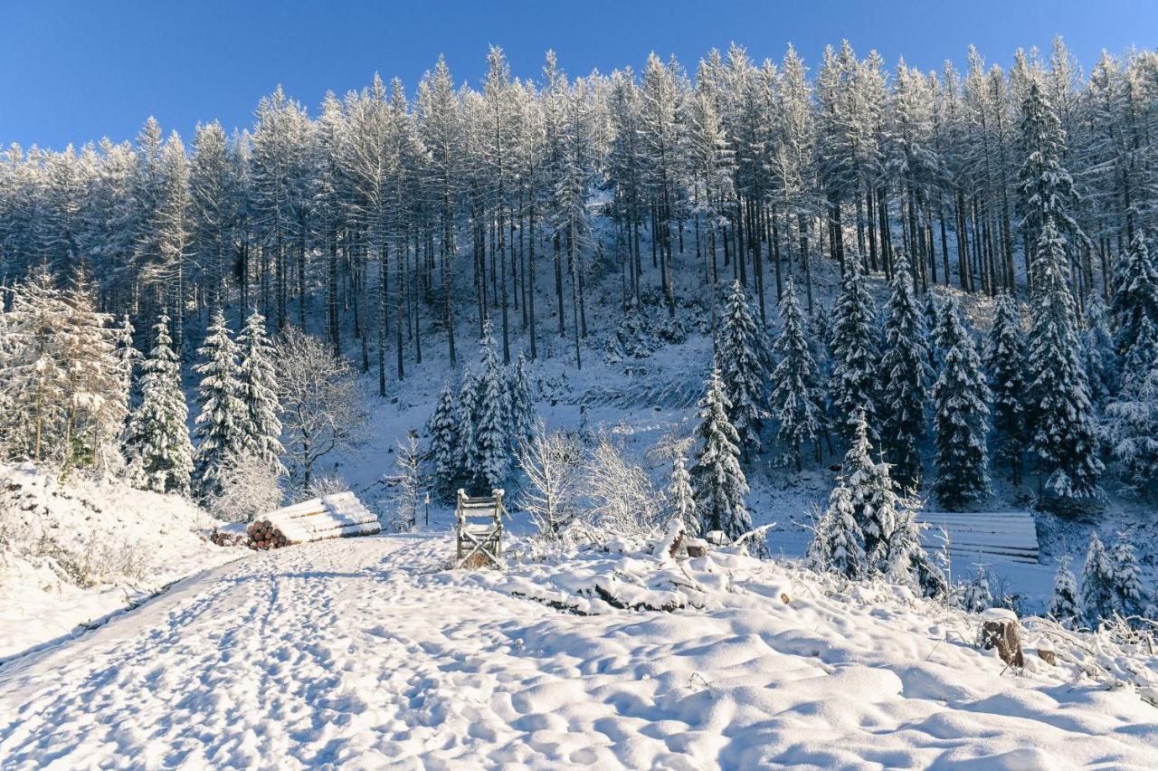 Tiny House Nature 12 - Green Tiny Village Harz Osterode am Harz ภายนอก รูปภาพ